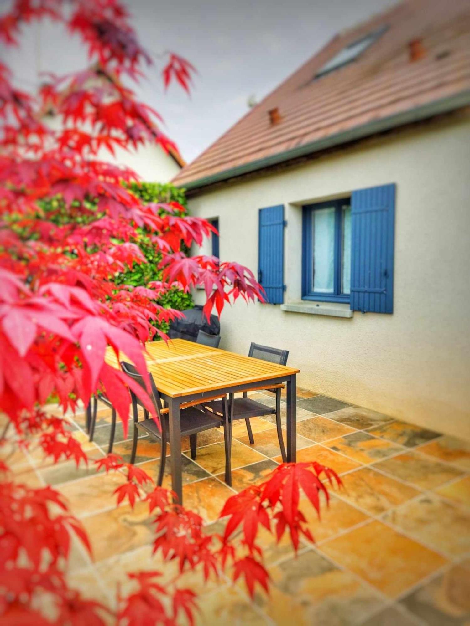 Le Cissereau - Chambres Et Table D'Hotes Onzain Exteriör bild